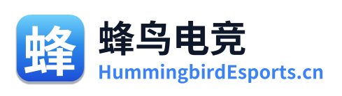 蜂鸟电竞